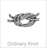 ordinary knot