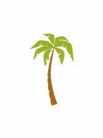 palm tree