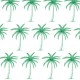 palm tree