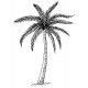 palm tree