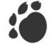 paw print