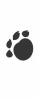 paw print