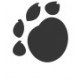 paw print