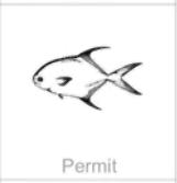 soundview millworks ocean permit