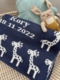 personalized giraffe baby blanket