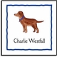 Personalized Stickers - Best Friend