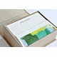 petite champagne silk stationery box - p17