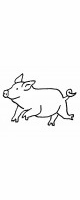 pig