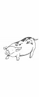 piglet