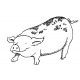 piglet
