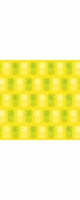 pineapple park