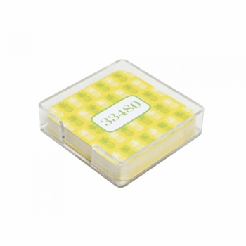 Pineapple Park Coasters