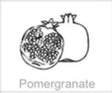 pomergranate