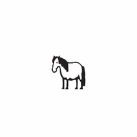 pony