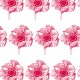 poppy