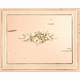 Provence Pink