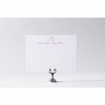 rabbit the bunny baby stationery