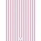 Red Nutcracker Holiday Cards
