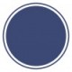 regent blue