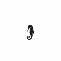 s001 seahorse