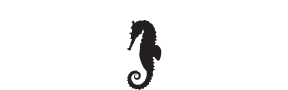 s001 seahorse