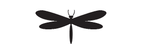 s009 dragonfly