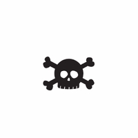 s010 skull