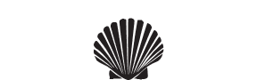 s045 scallop shell