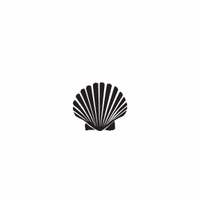 s045 scallop shell