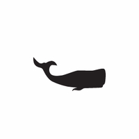 s051 classic whale