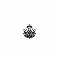 s052 pineapple ribbon