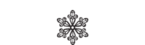 s056 snowflake