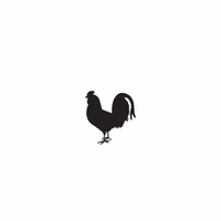 s062 rooster