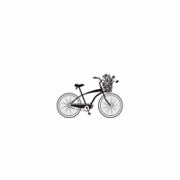 s073 bicycle