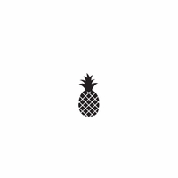 s074 simple pineapple