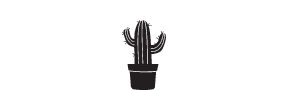 s082 cactus
