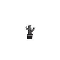 s082 cactus