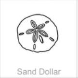 soundview millworks ocean sand dollar