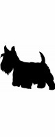 scotty dog