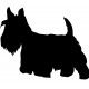 scotty dog