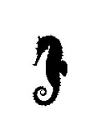 seahorse