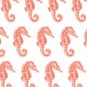 seahorse