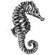 seahorse