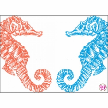 seahorse enclosure card