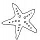 seastar