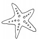 seastar