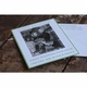 Serene Green Holiday Card