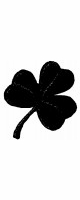 shamrock