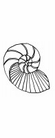 shell 1