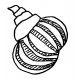 shell 3